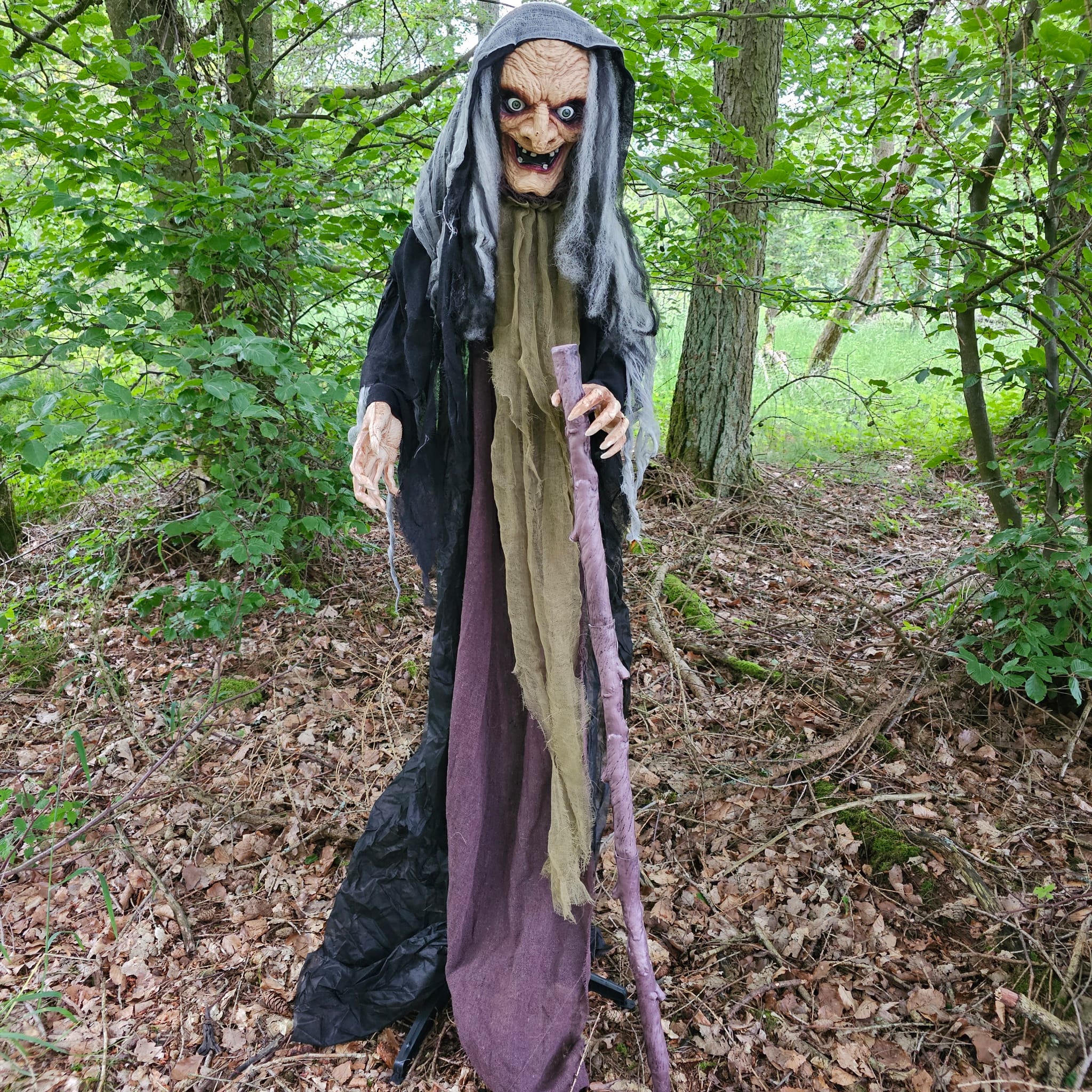 Halloween Animatronic Hexe Walburga image 0