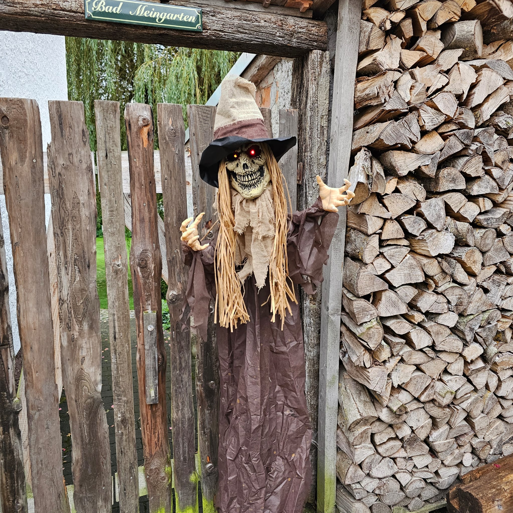 Horror animatronic Vogelscheuche Eduard image 0