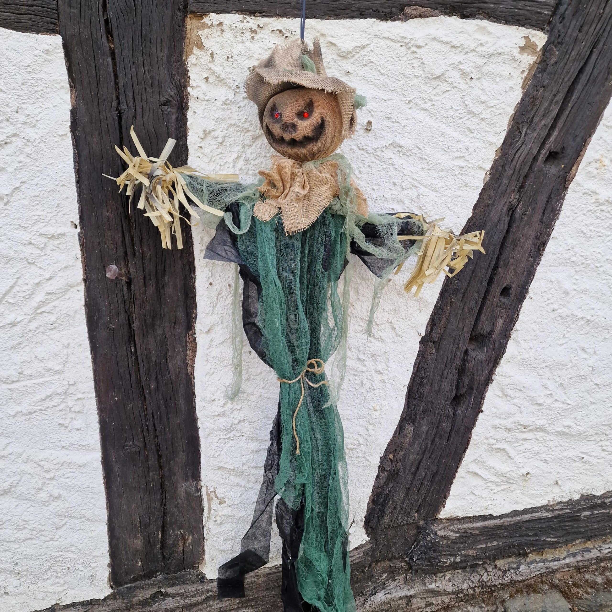 h&auml;ngende Vogelscheuche Freddy image 0