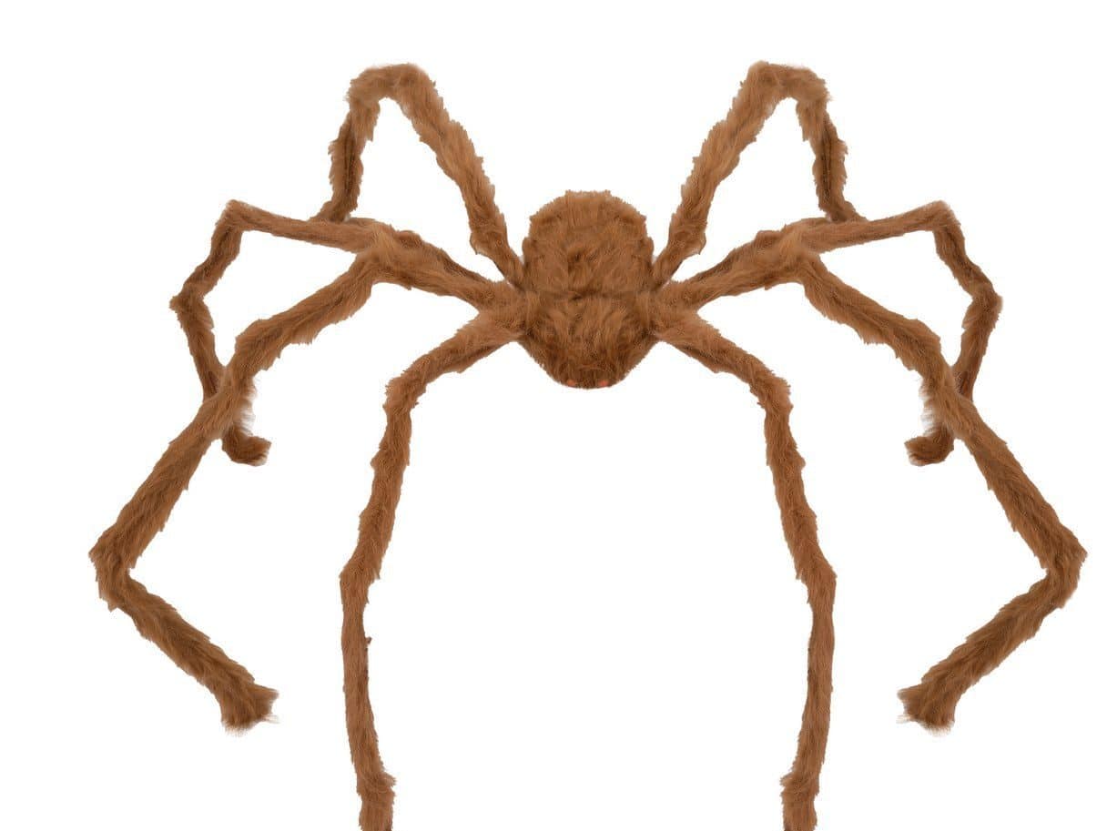 Gruselige Riesenspinne Chewbacca image 0
