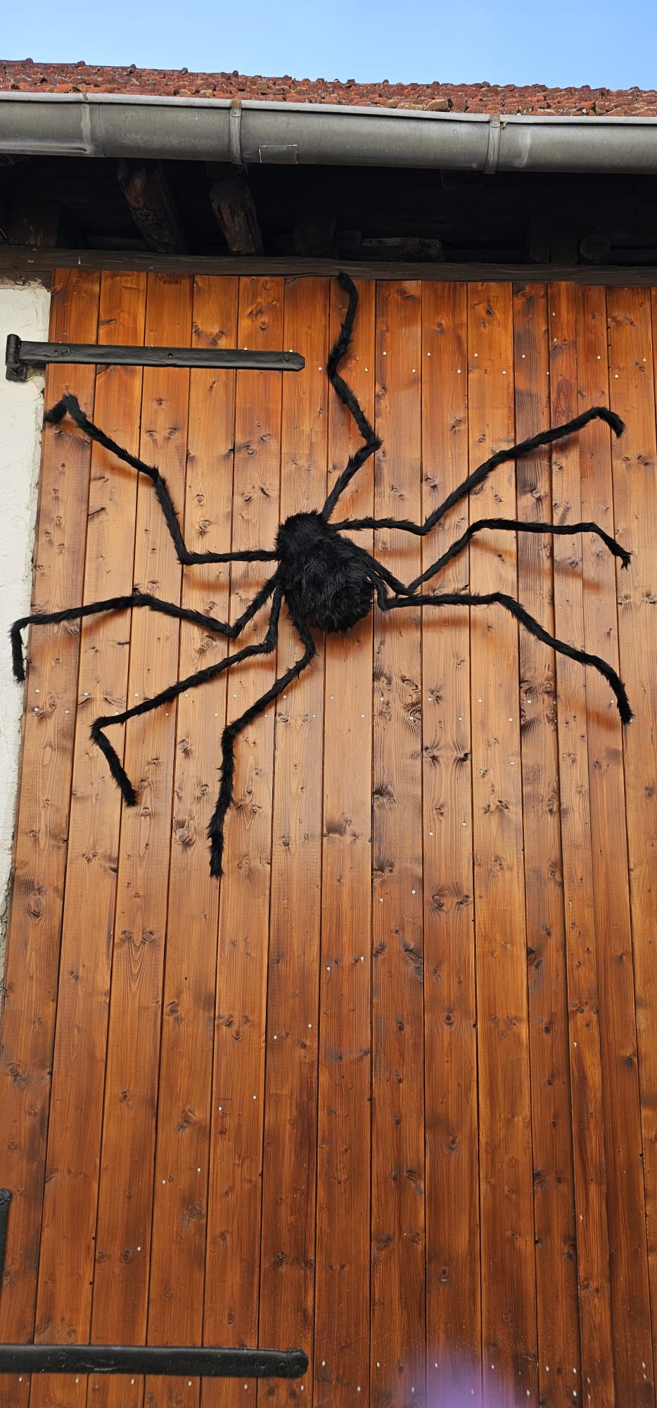 Gigantische gruselige Riesen Spinne image 0