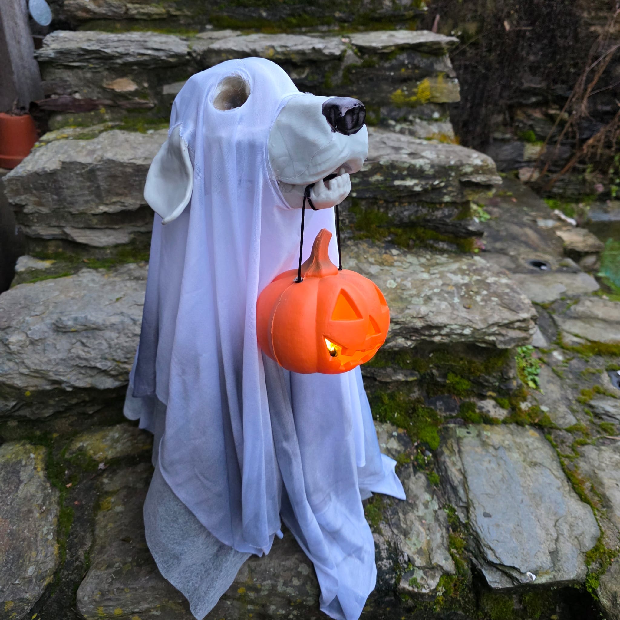 Geisterhund &bdquo;Busco&ldquo; mit K&uuml;rbis-Laterne &ndash; 57 cm Halloween Deko