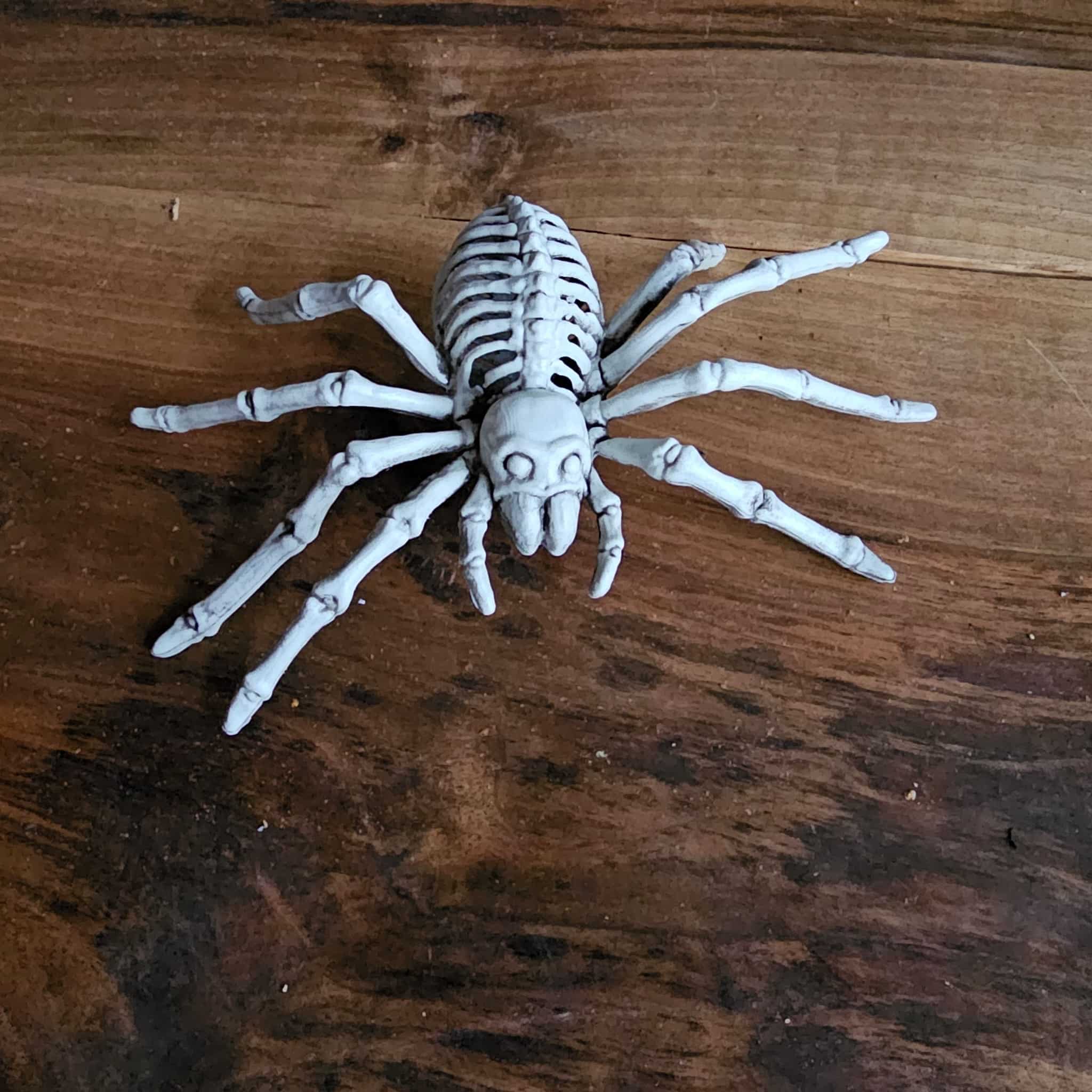 Halloween Skelett Spinne image 0
