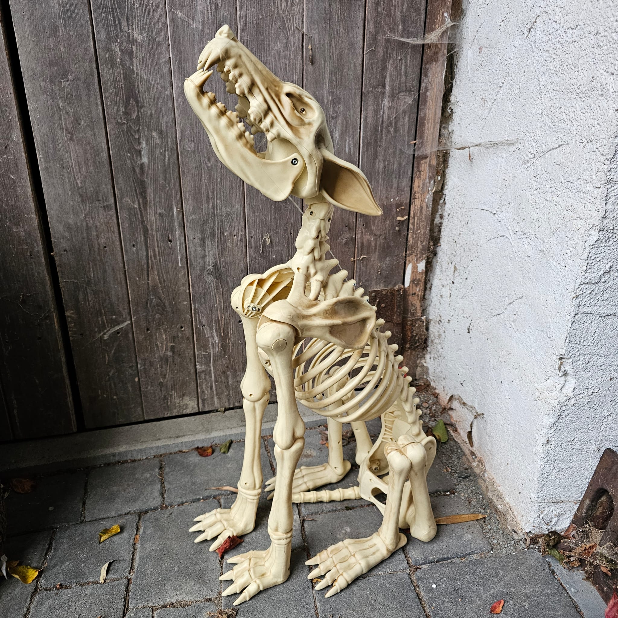 Shadow heulender animatronic Skelett Wolf image 0