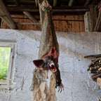 Horror animatronic Fledermaus h&auml;ngend image 0