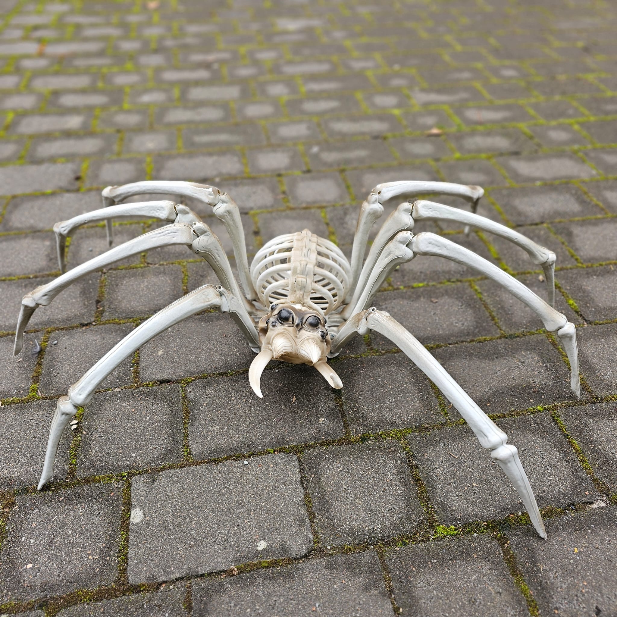 Monster Skelett Spinne XXL image 0