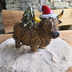 Highland-Rind Emil &ndash; der weihnachtliche Bruder von Hugo