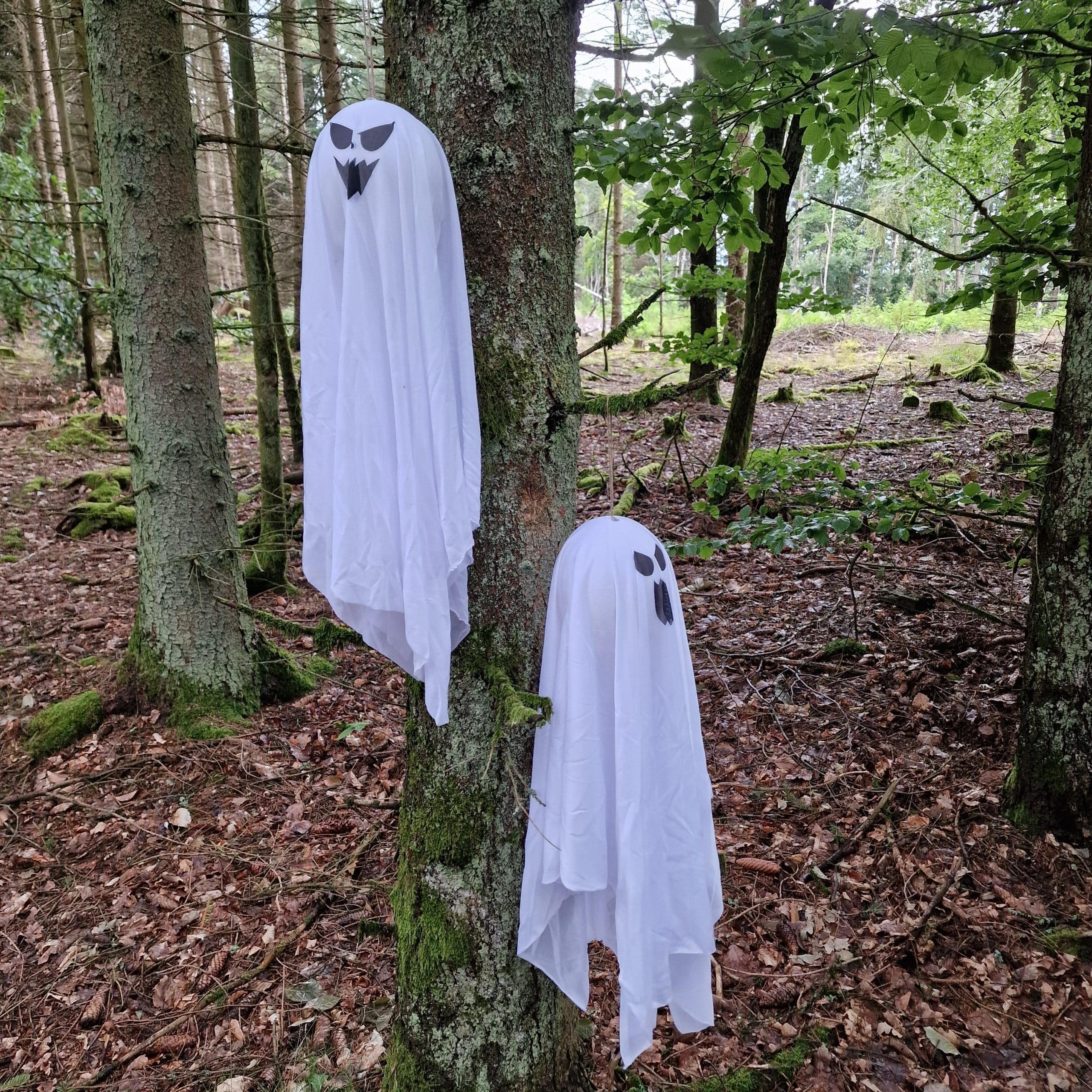 H&auml;ngende Gespenster Hui und Booo image 0