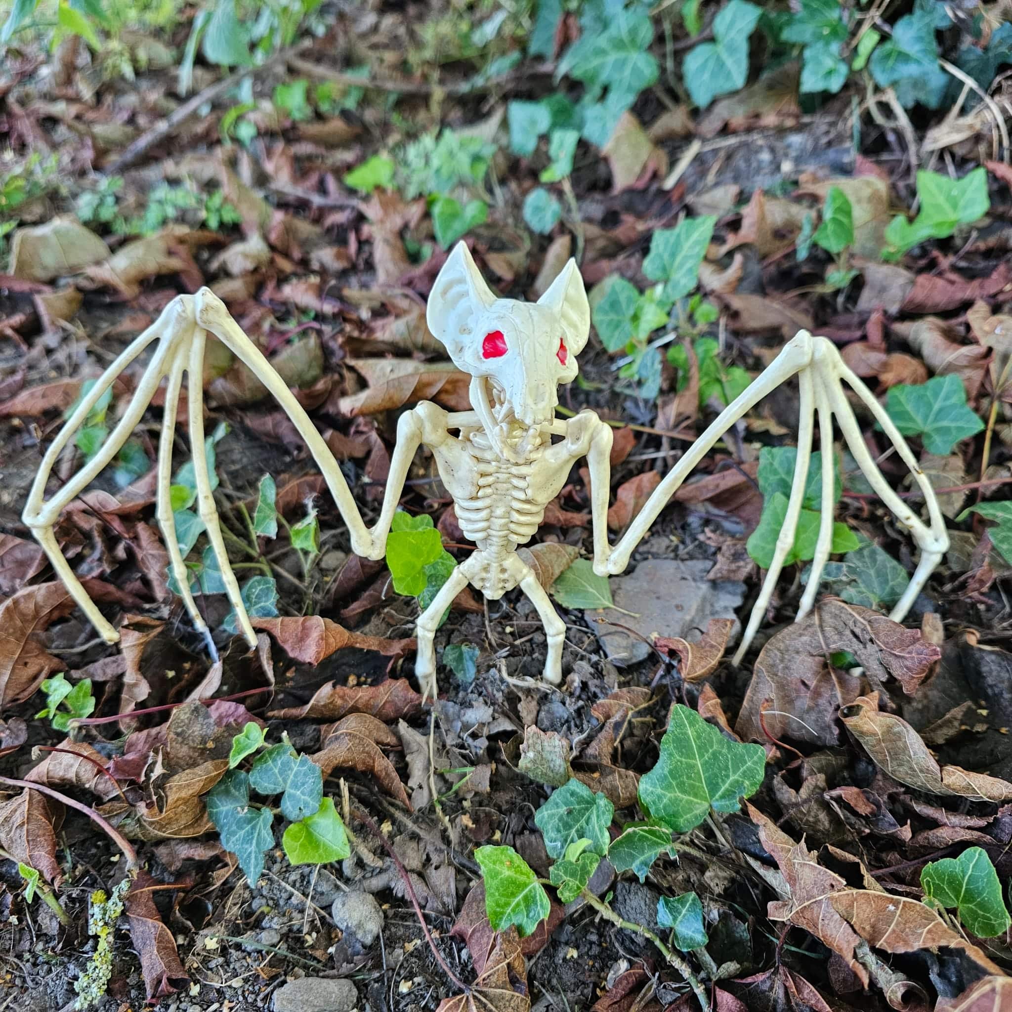 Halloween-Sch&auml;del-Fledermaus-Skelett-Dekoration image 1