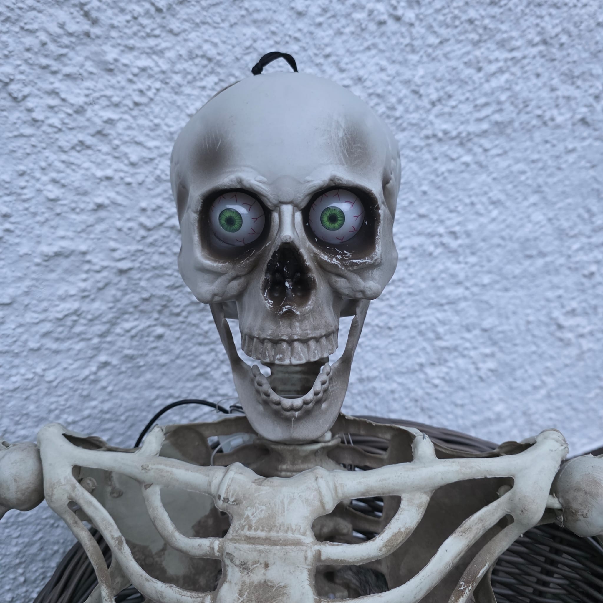 Animatronic Skelett Joe &ndash; Der unheimliche Beobachter