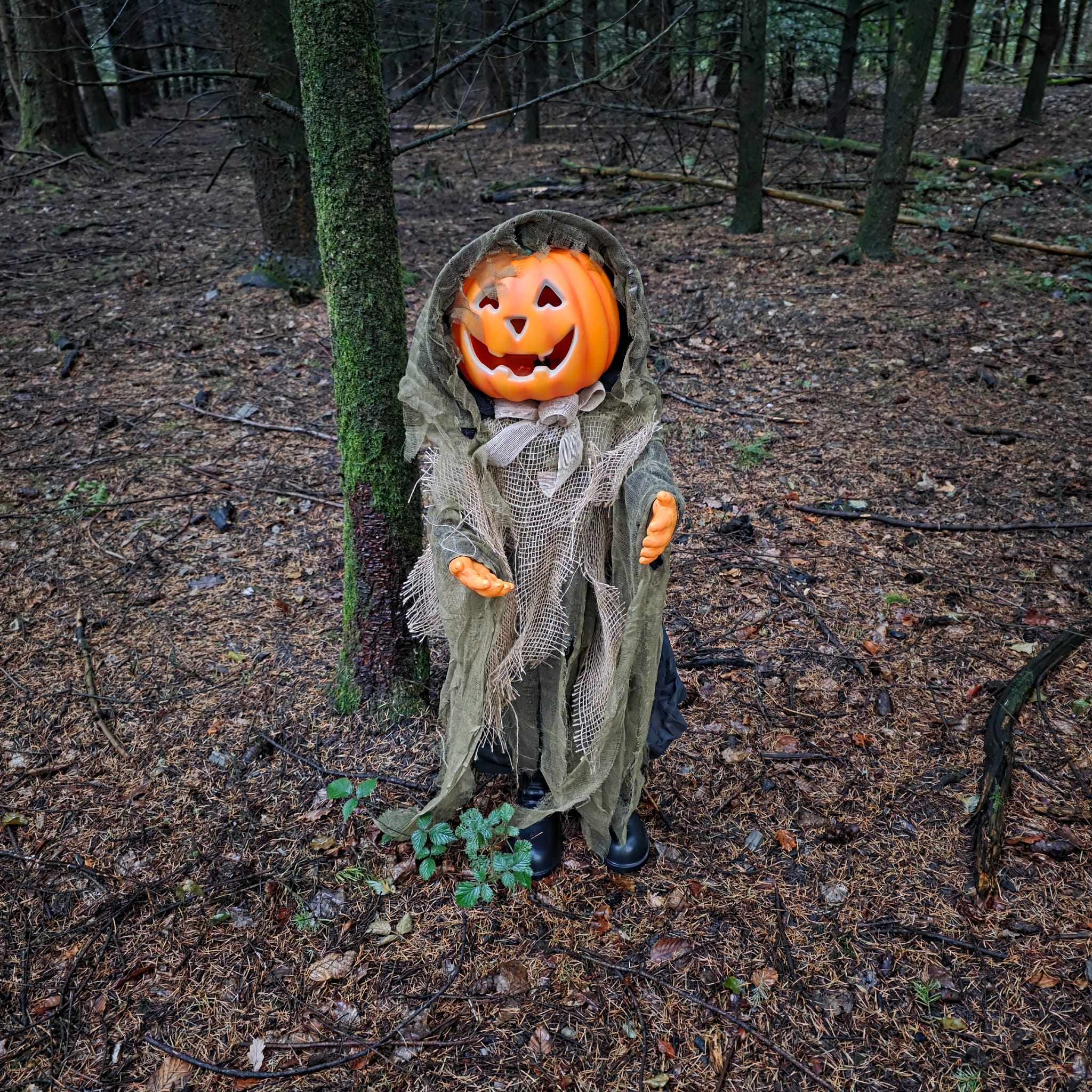 Spooky Hollow &ndash; Die niedliche K&uuml;rbispuppe mit dem b&ouml;sen &Uuml;berraschungseffekt 🎃