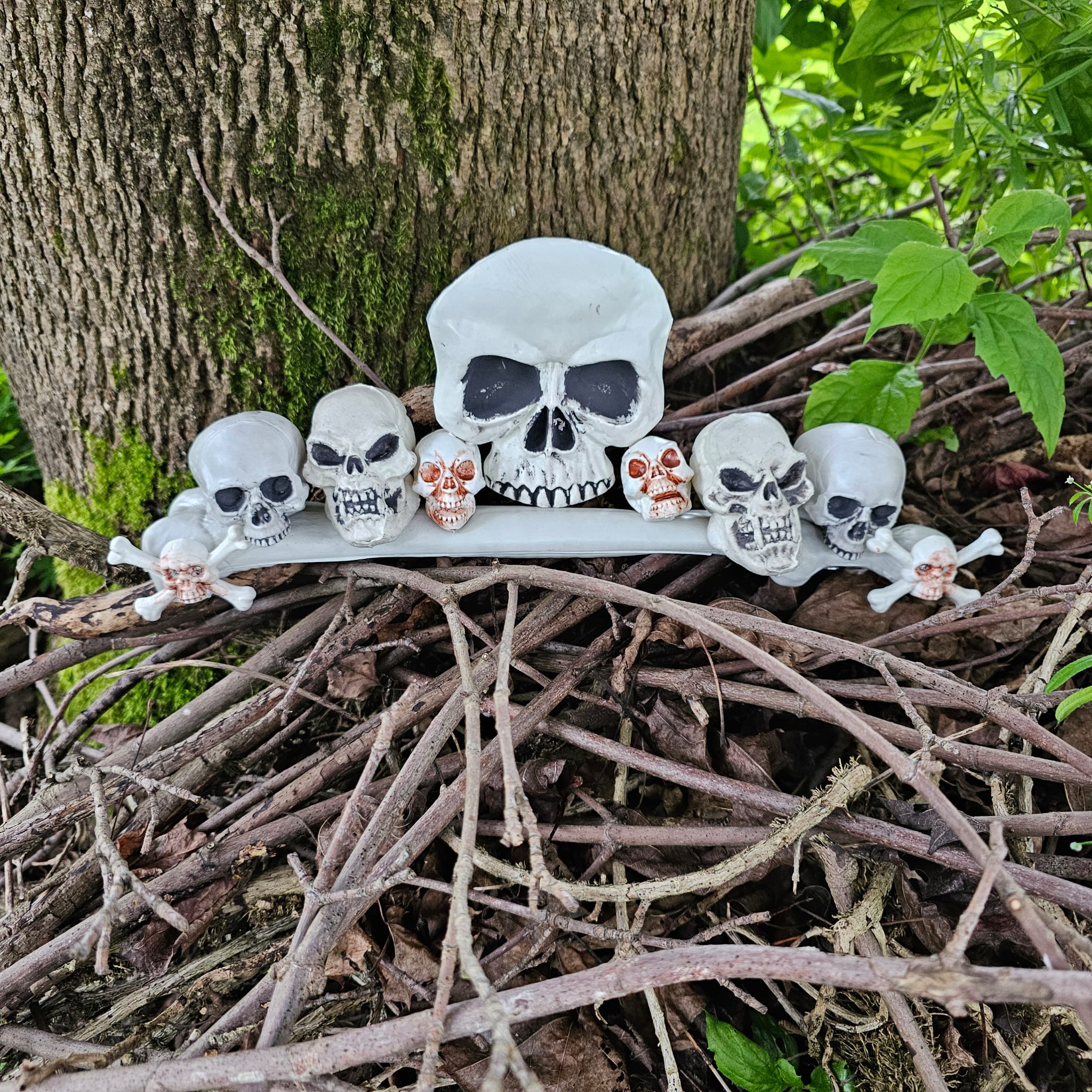 Gruselige Totenk&ouml;pfe Halloween image 0