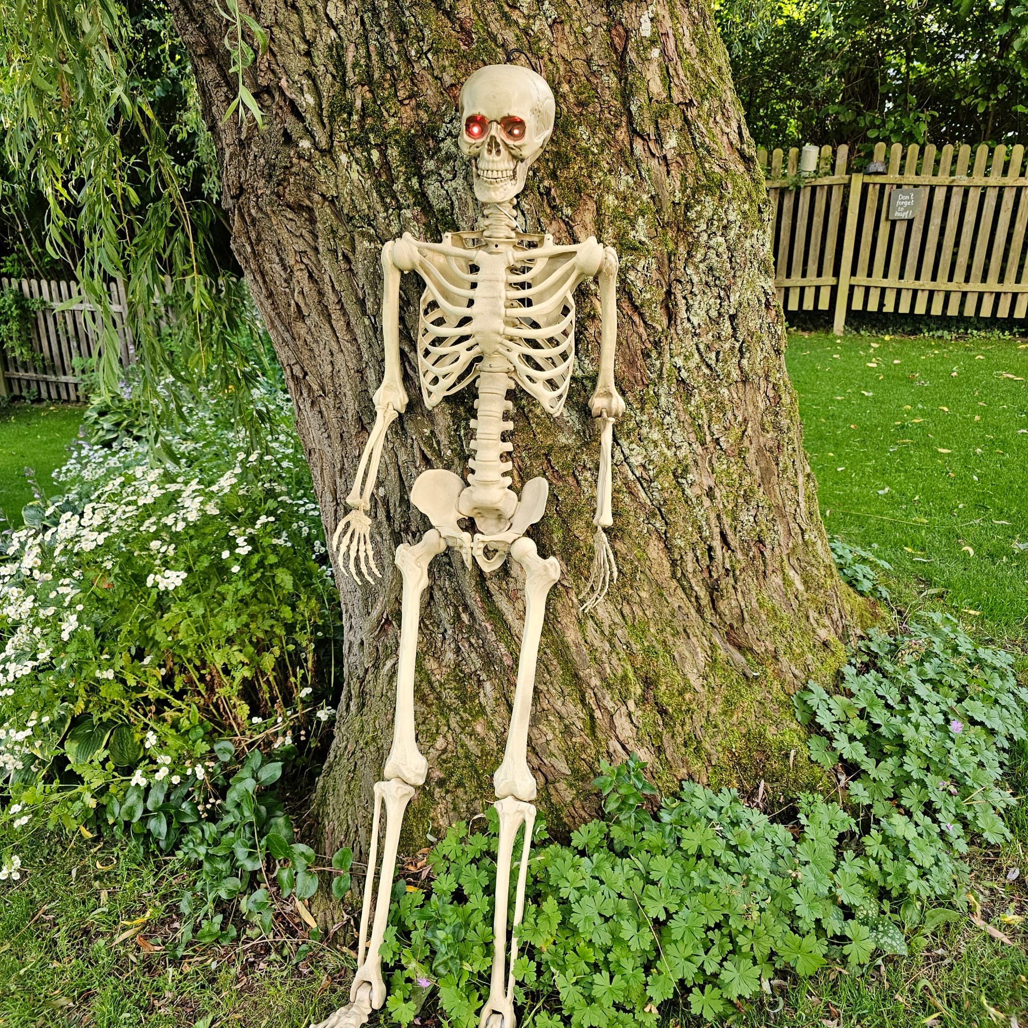 Halloween bewegliches Skelett image 0