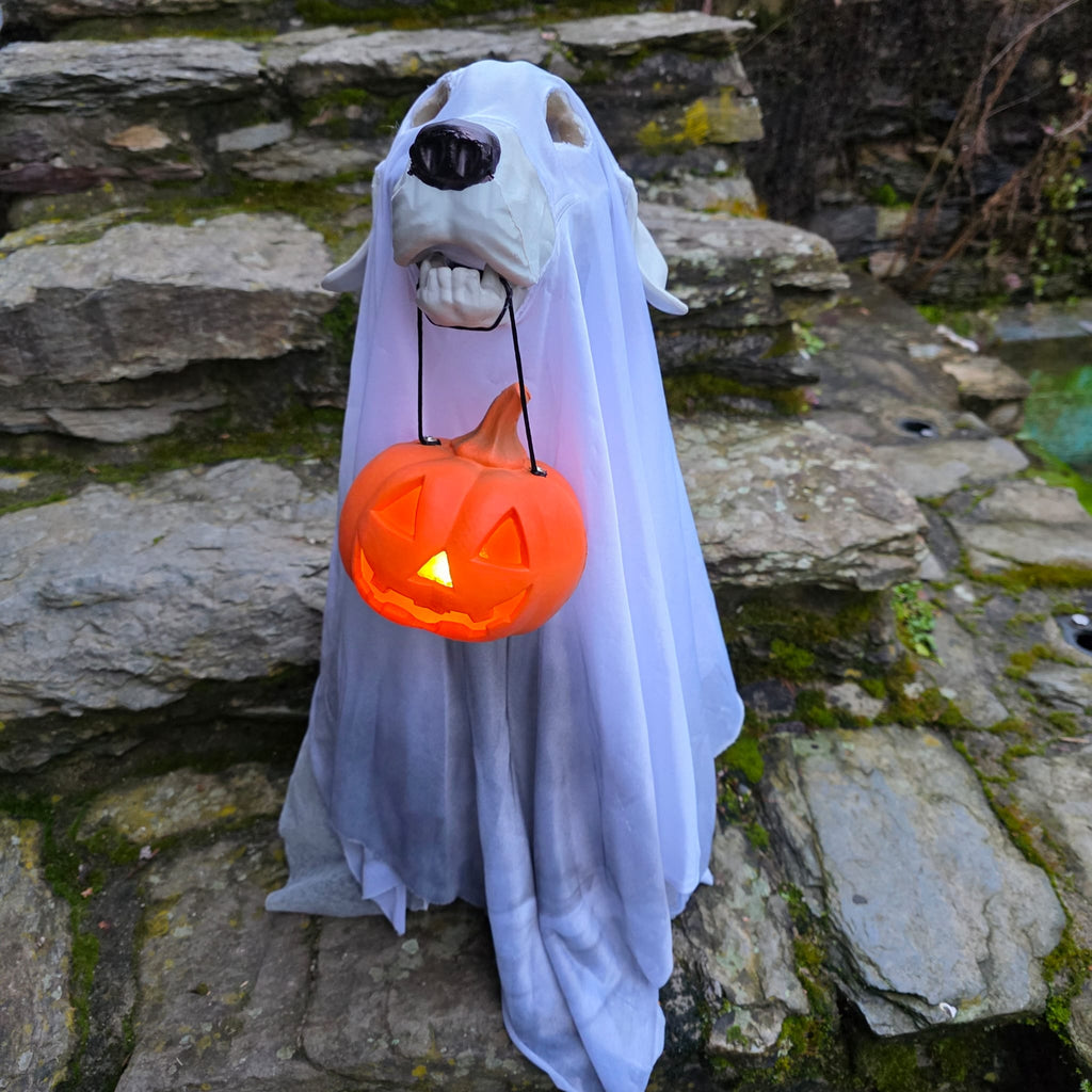 Geisterhund &bdquo;Busco&ldquo; mit K&uuml;rbis-Laterne &ndash; 57 cm Halloween Deko