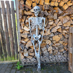 Skelett 165 cm &ndash; Vielseitige Halloween-Dekoration